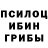 Псилоцибиновые грибы Cubensis DaN4Ik X