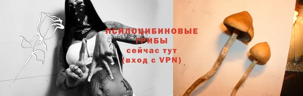 амф Баксан