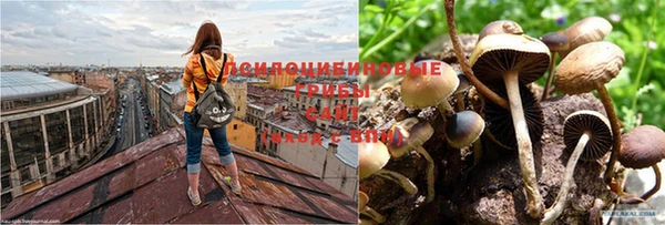 меф VHQ Беломорск